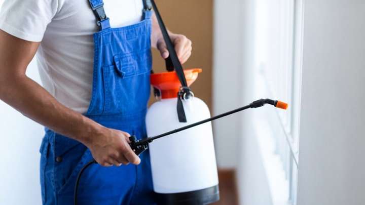 شركة مكافحة الفئران في العين