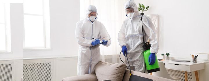 مكافحة الفئران في العين